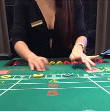 hoywin Crash
